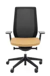 Fotel obrotowy Accis Pro 150SFL 