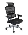 Fotel Ergohuman 2 Basic BS Black