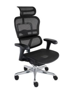 Fotel Ergohuman 2 Basic BS Black